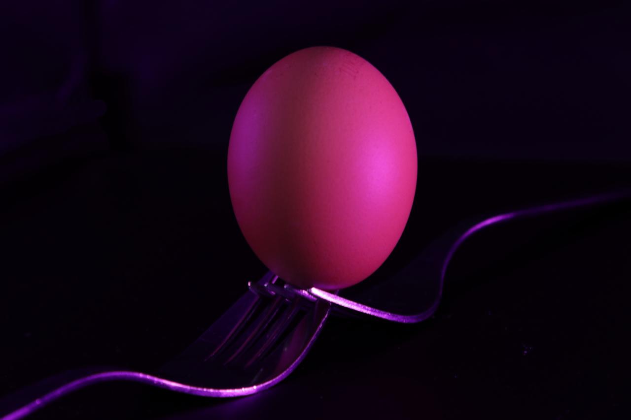Egg balanced on forks